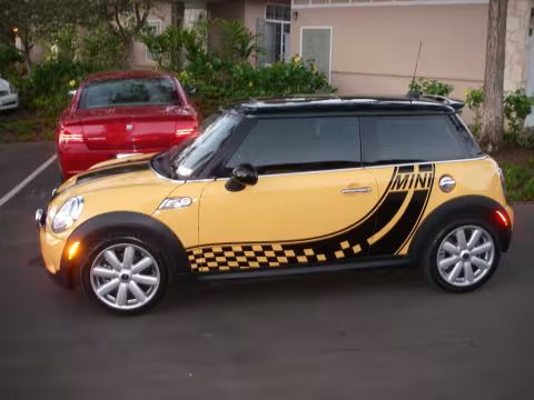 Racing Stripes- Black Vinyl