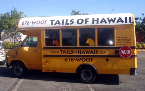 Tails Of Hawaii- dr